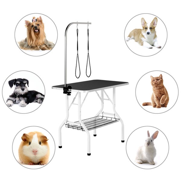 Frisiertisch mit Hunden, Katze, Meerschweinchen und Kaninchen