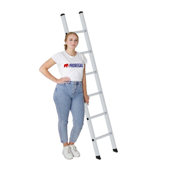 PROREGAL Sprossen-Anlegeleiter 350 mm Breit Ohne Traverse 6 Sprossen
