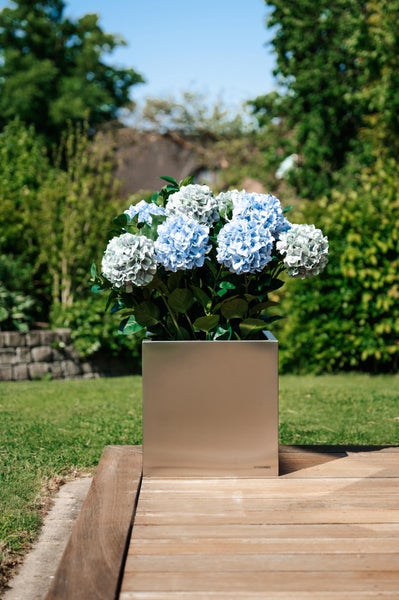 Quadratischer Pflanzkübel aus Edelstahl von Vivanno mit blauen Hortensien auf einer Holzterrasse im Garten.