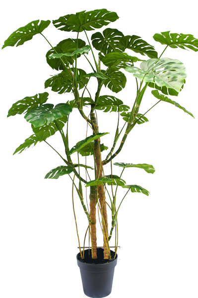 Künstliche Pflanze Monstera 240 cm