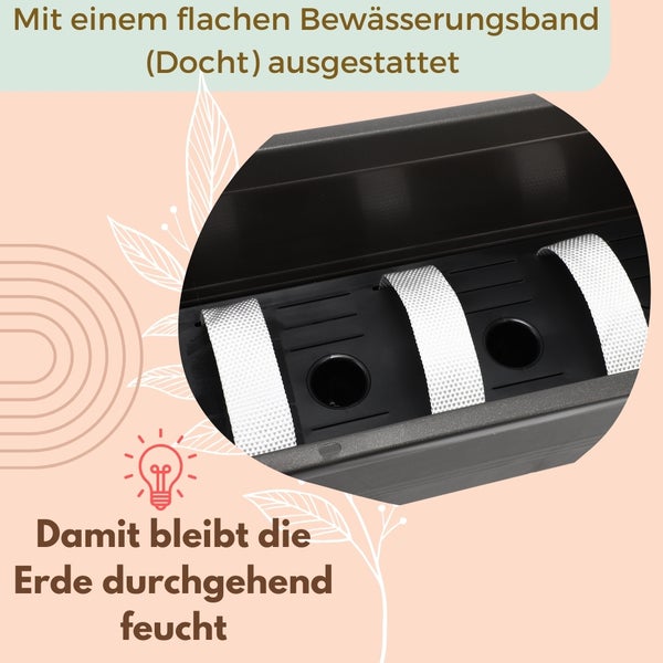 Detailansicht eines Pflanzkastens mit Bewässerungsband