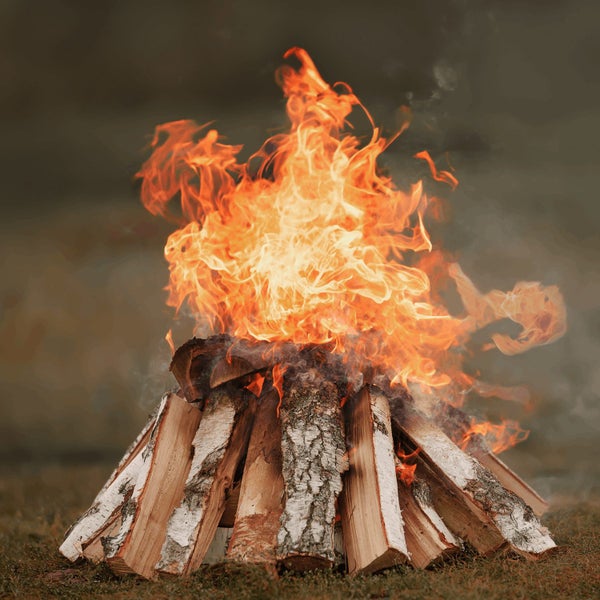 Ein prasselndes Lagerfeuer aus gestapeltem Birkenholz auf dem Boden.