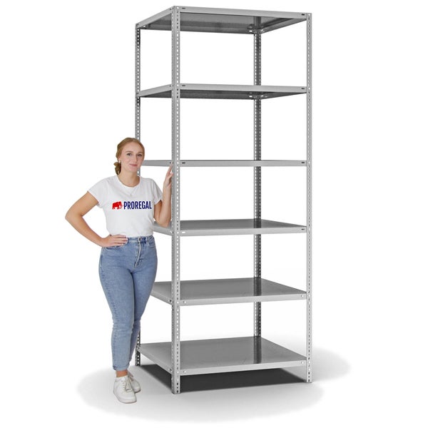 PROREGAL Fachbodenregal Schraubsystem Heavy-Duty Grundregal HxBxT 250 x 100 x 80 cm 6 Ebenen Fachlast 350 kg Beidseitig Nutzbar Verzinkt