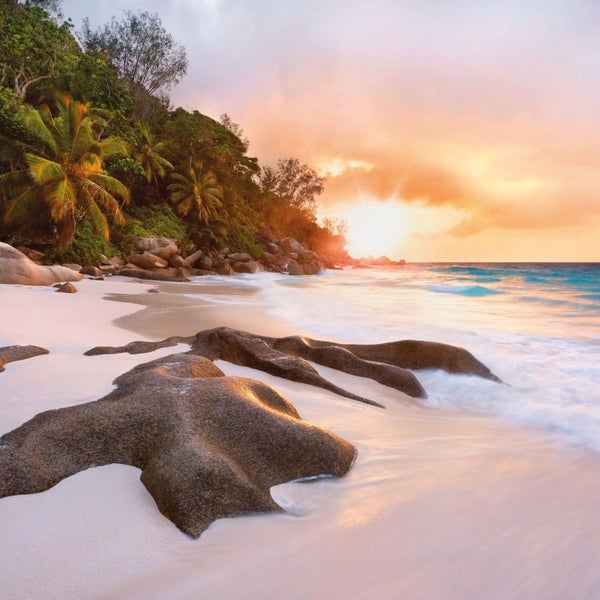 Strandlandschaft mit Felsen, Palmen und Sonnenaufgang