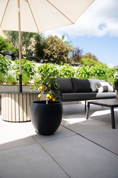 Zitronenbaum in einem runden schwarzen Pflanzgefäß auf einer modernen Terrasse mit Sofa und Sonnenschirm.