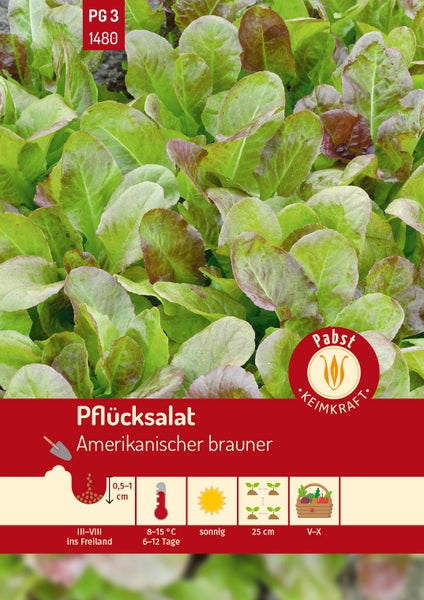 Samentüte für Pflücksalat Amerikanischer brauner mit grünen und rötlich-braunen Blättern. Pabst Keimkraft Logo. Infos zu Aussaat, Standort und Ernte.