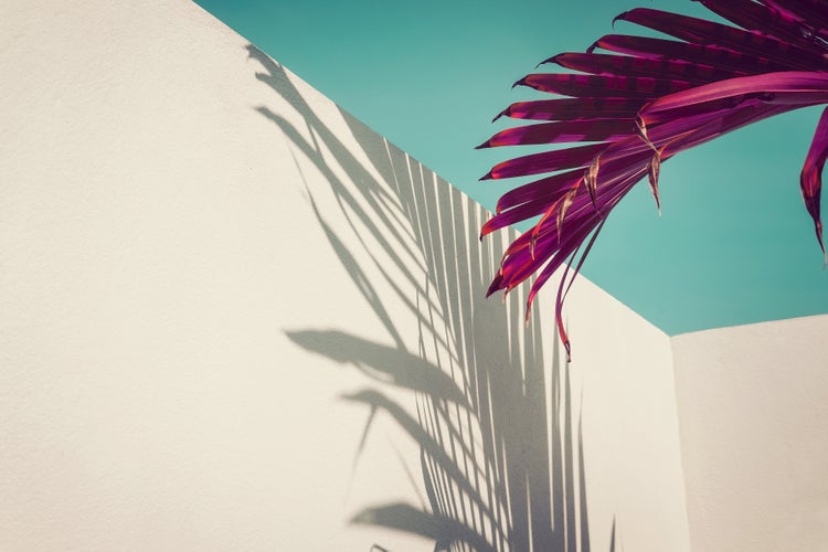 Weiße Wand mit dem Schatten einer Palmwedelspitze vor einem blauen Himmel.