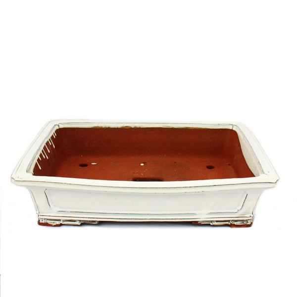 Bonsai-Schale XXL - rechteckig GG9 - weiß/hellbeige - L46cm x B35cm x H10cm