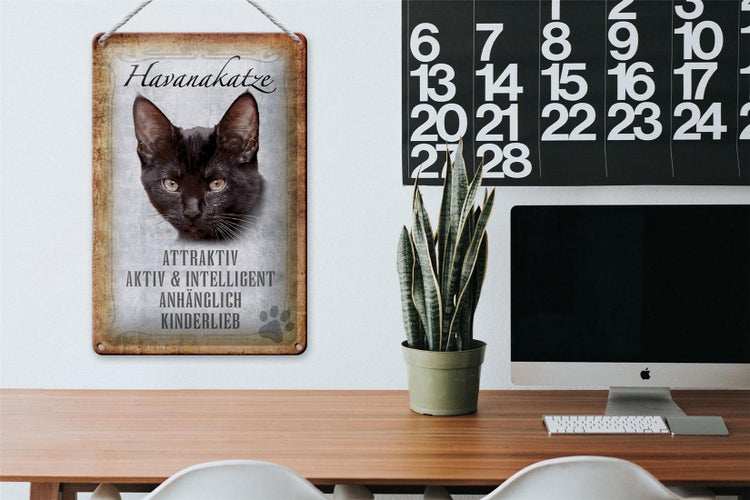 Blechschild Spruch 20x30cm Havanakatze kinderlieb Schild