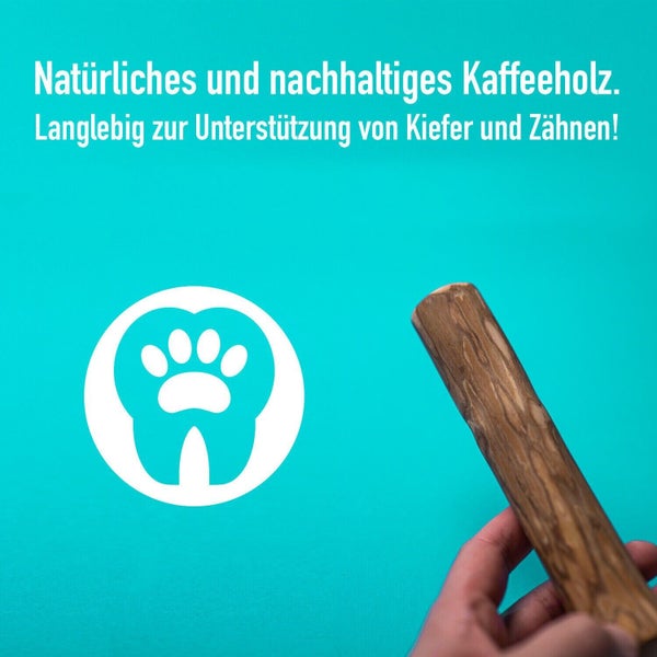 GreenHero Kaffeeholz Kaustange M