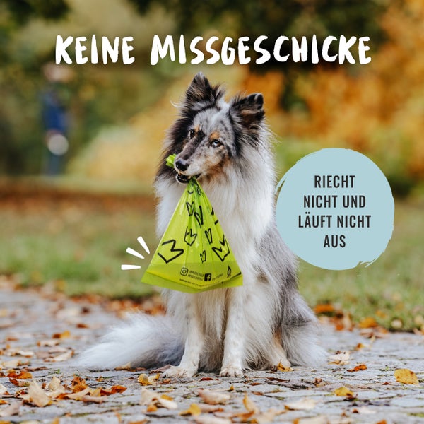 Hund mit Kotbeutel im Maul für eine saubere Umgebung