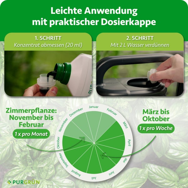 Anwendungshinweise und Dosierungskalender für Purgrün Flüssigdünger inklusive Messbecheranleitung und saisonalem Anwendungsplan für Pflanzen.