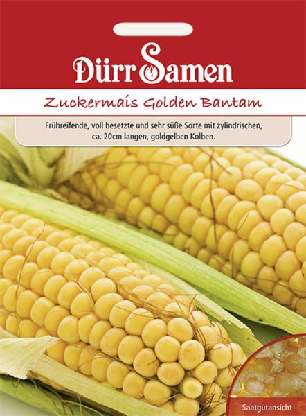 Samentüte für Zuckermais Golden Bantam von Dürr Samen mit zwei abgebildeten Maiskolben und einer Saatgutansicht.