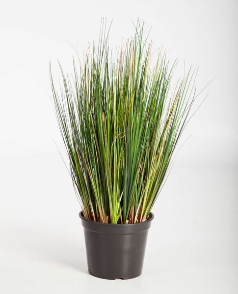 Künstliche Graspflanze mit langen grünen Halmen in einem schwarzen Kunststofftopf.