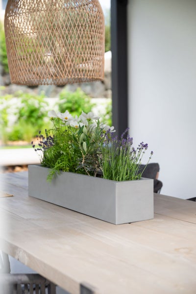 Grauer rechteckiger Pflanzkasten in Betonoptik mit Lavendel und weißen Blumen auf hellem Holztisch unter einer Rattanhängeleuchte.
