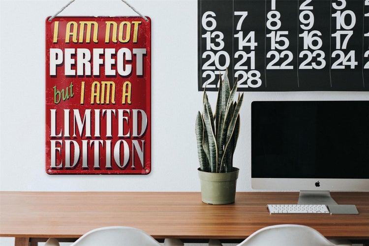 Blechschild Spruch 20x30cm i am not perfect limited edition