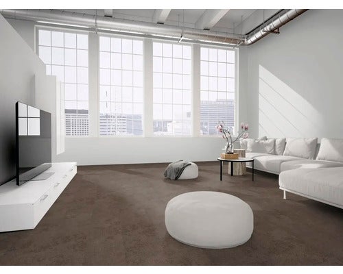 Modernes, helles Wohnzimmer mit dunklem Teppichboden, weißem Sofa, flachem Fernsehschrank und großen Fenstern im Loft-Stil.