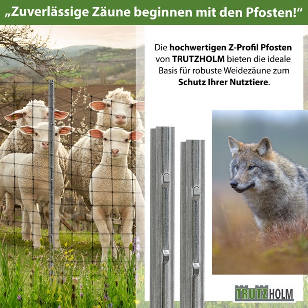 Trutzholm Z Profil Pfosten als stabile Zaunpfähle für Weidezäune zum Schutz von Nutztieren vor Wildtieren wie Wölfen auf der Weide.