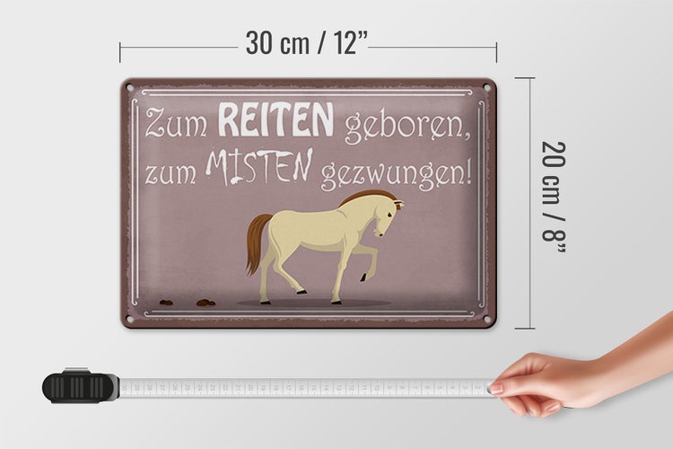 Blechschild Spruch 30x20cm zum Reiten geboren Pferd