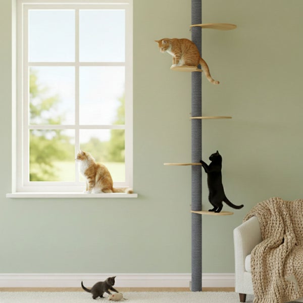 Deckenspanner Kratzbaum mit Sisalsäule und mehreren Plattformen für Katzen in einem Wohnraum mit Fenster.