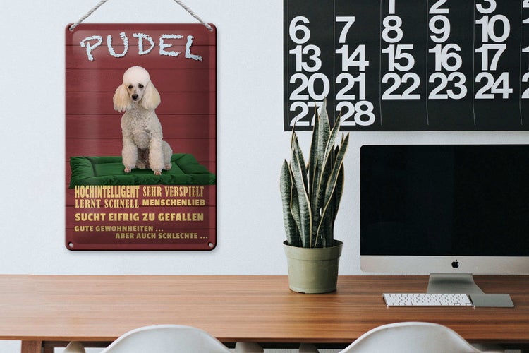 Blechschild Spruch 20x30cm Pudel hochintelligent lieb Hund