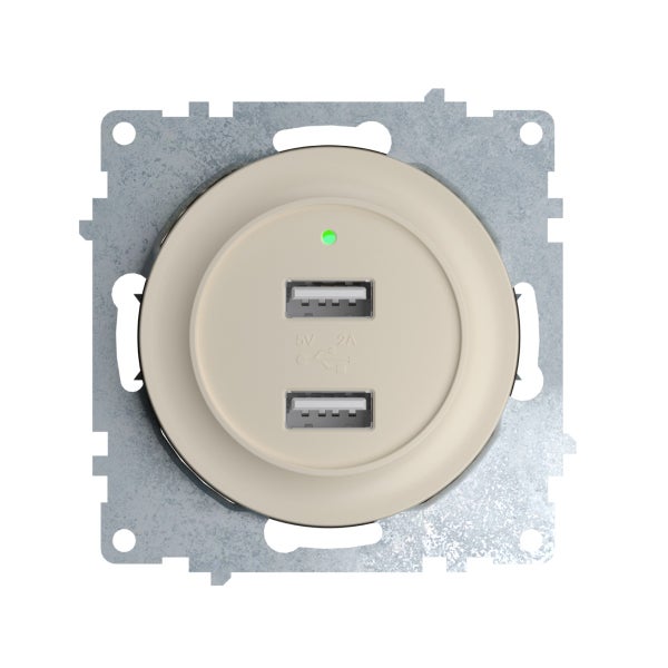 USB Ladestation mit zwei Anschlüssen für den Wandeinbau auf Metalltragrahmen.