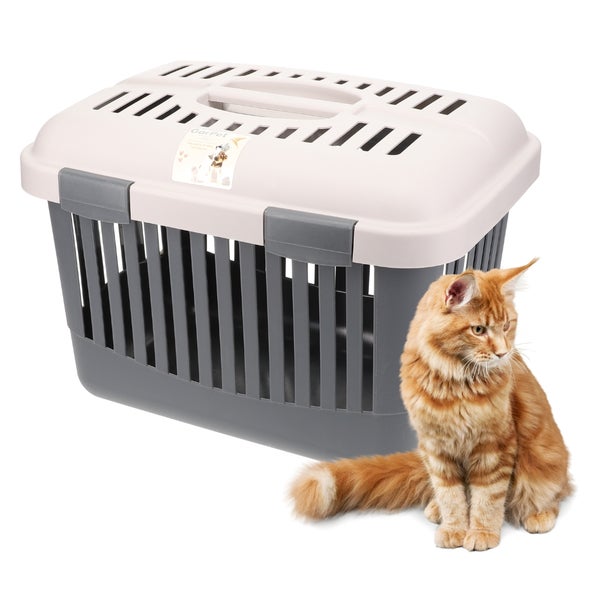 Haustiertransportbox aus Kunststoff mit einer sitzenden Katze davor