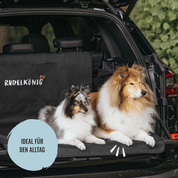 Hundedecke im Kofferraum eines Autos mit zwei Hunden und dem Rudelkönig Logo