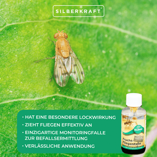 Silence Fruchtfliegenfalle – Effektive Falle gegen Fruchtfliegen im Haushalt – Geruchlos & unauffällig – Ideal für Küche, Obstschale & Vorratsraum