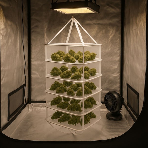 Innenraum eines Growzelts mit Trockengestell, Ventilator und LED-Lampe zur Pflanzenaufzucht