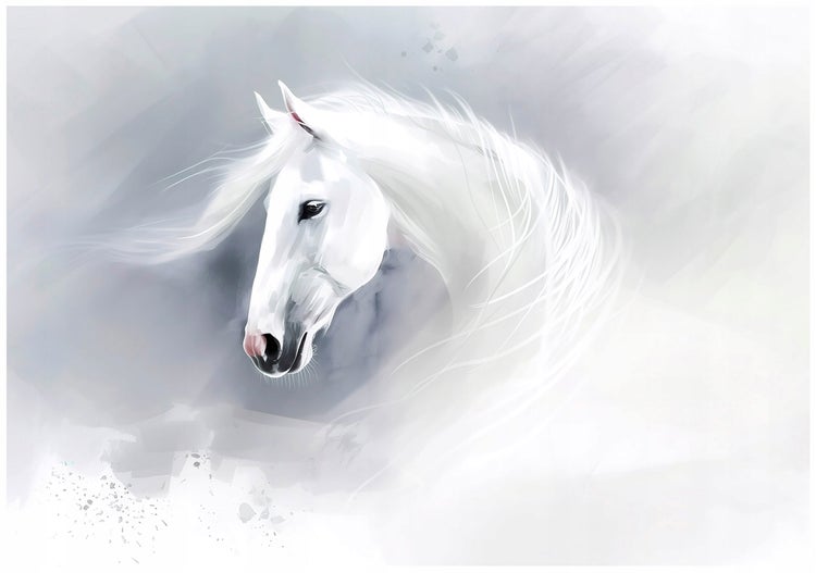 Illustration eines weißen Pferdes