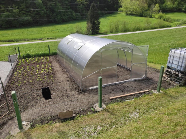 Gewächshaus im Garten mit angepflanztem Gemüse und Zaun