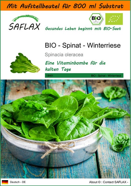 SAFLAX Garden in the bag - BIO - Spinat - Winterriese - Spinacia oleracea - 250 Samen - Mit Anzuchtsubstrat im praktischen, selbst aufstellenden Beutel