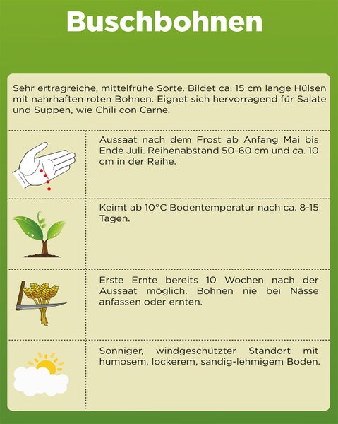 Infografik mit Anbauhinweisen für Buschbohnen wie Aussaatzeitraum, Keimtemperatur, Erntehinweise und Standortansprüche.