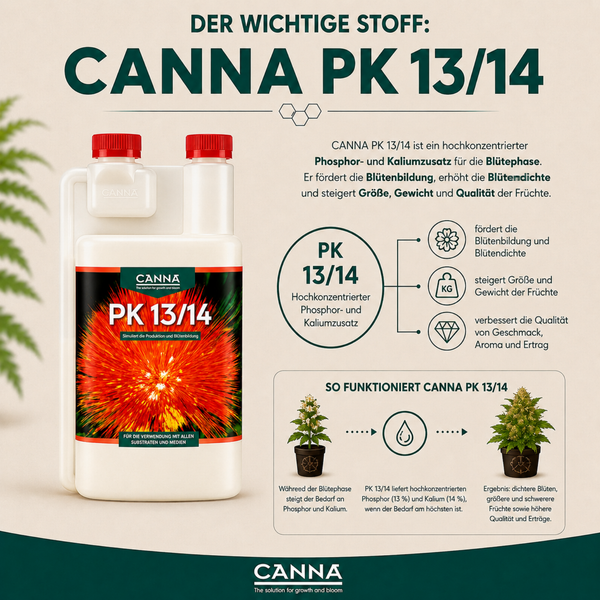 Infografik zum Pflanzendünger CANNA PK 13 14, einem Phosphor und Kaliumzusatz für die Blütephase zur Ertragssteigerung von Pflanzen.