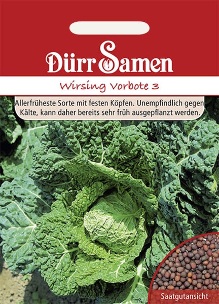 Dürr Samen Logo, Samentüte Wirsing Vorbote 3, frühe Sorte mit festen Köpfen, kälteresistent, inklusive Abbildung der Samen.