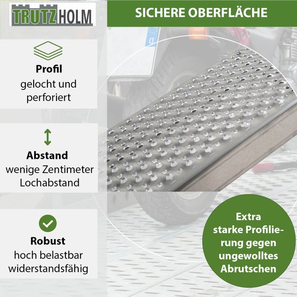 TRUTZHOLM Alu Auffahrrampe 250 cm 500 kg 26 cm breit Anti Rutsch gelocht Motorradrampe Verladerampe