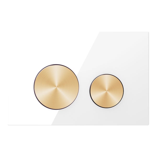 Betätigungsplatte für Spülkasten mit zwei runden Tasten