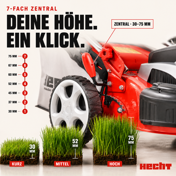 Hecht Rasenmäher mit siebenfacher zentraler Schnitthöhenverstellung von 30 bis 75 Millimeter, dargestellt mit drei Grasproben unterschiedlicher Höhe.