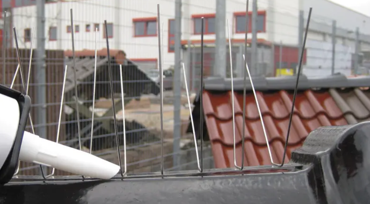 Taubenabwehrspitzen aus Metall auf einem Dach montiert