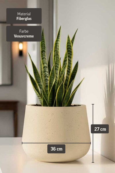 Pflanzgefäß aus Fiberglas mit Bogenhanf, 36 Zentimeter breit und 27 Zentimeter hoch.