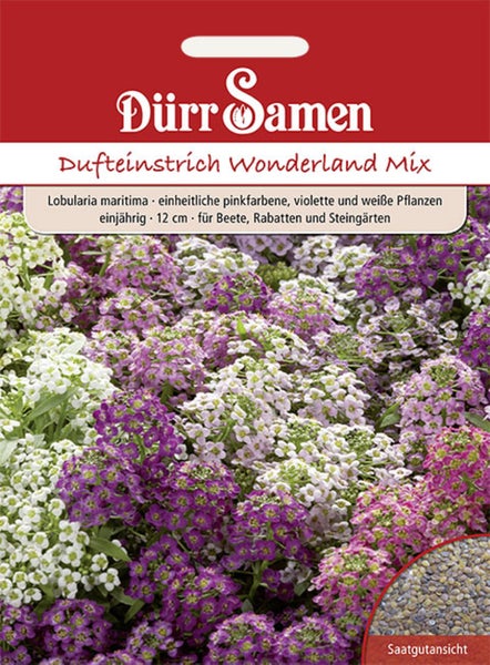 Samentüte Lobularia maritima Dufteinstrich Wonderland Mix, Dürr Samen Logo, weiße, rosa und violette Blüten und Detailansicht der Samen.