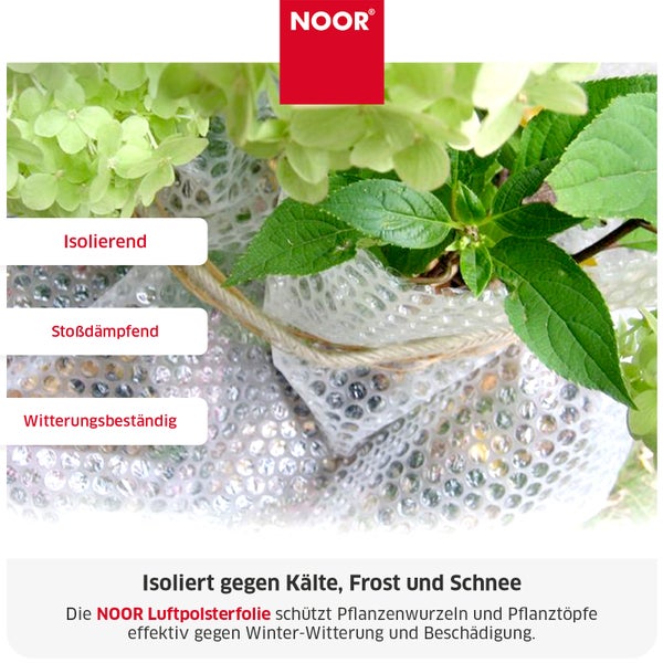 NOOR Luftpolsterfolie zum Schutz von Pflanzen vor Frost und Kälte, isolierend und witterungsbeständig für Winterfestmachung von Pflanzentöpfen.