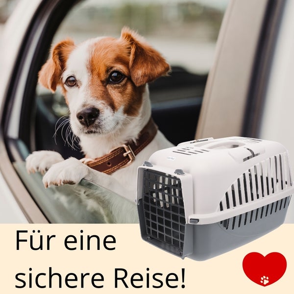 Hundebox Auto Rückbank Transportbox Katze Katzentransportbox Transportbox Kaninchen Katzenkorb Transport Hundetransportbox Grau