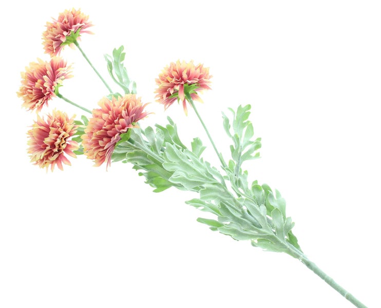 FRANK FLECHTWAREN | Blume Dahlia, 3er Set, KUNSTSTOFF, L:70 cm