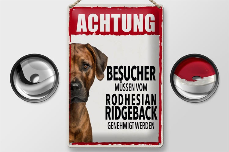 Blechschild Spruch 20x30cm Achtung Rodhesian Ridgeback