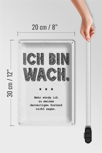 Blechschild Spruch lustig Zustand Ich bin wach 20x30cm