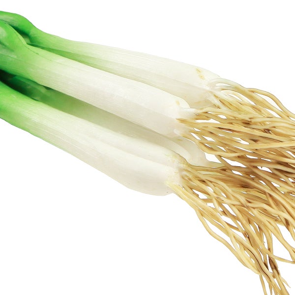 Bund Frühlingszwiebeln