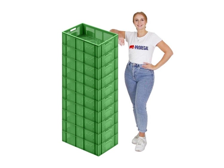 PROREGAL Eurobehälter Obst- und Gemüsekasten HxBxT 17,1 x 40 x 60 cm 33 Liter Grün Obst-Gemüsekiste Obstkorb Transportbox