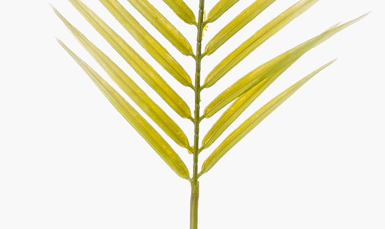 Künstliche Efeu-Ranke mit detailreichen Blättern aus Kunststoff.